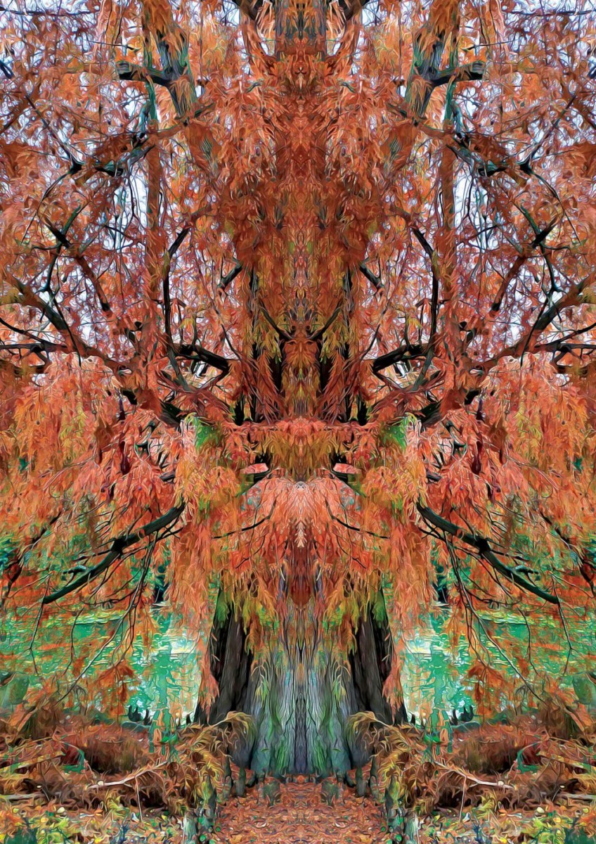 drzewo fotomanipulacja jpg
