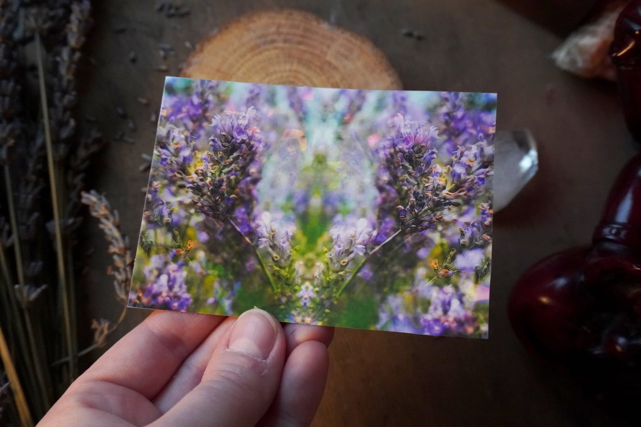 jpeg-optimizer_DSC01563