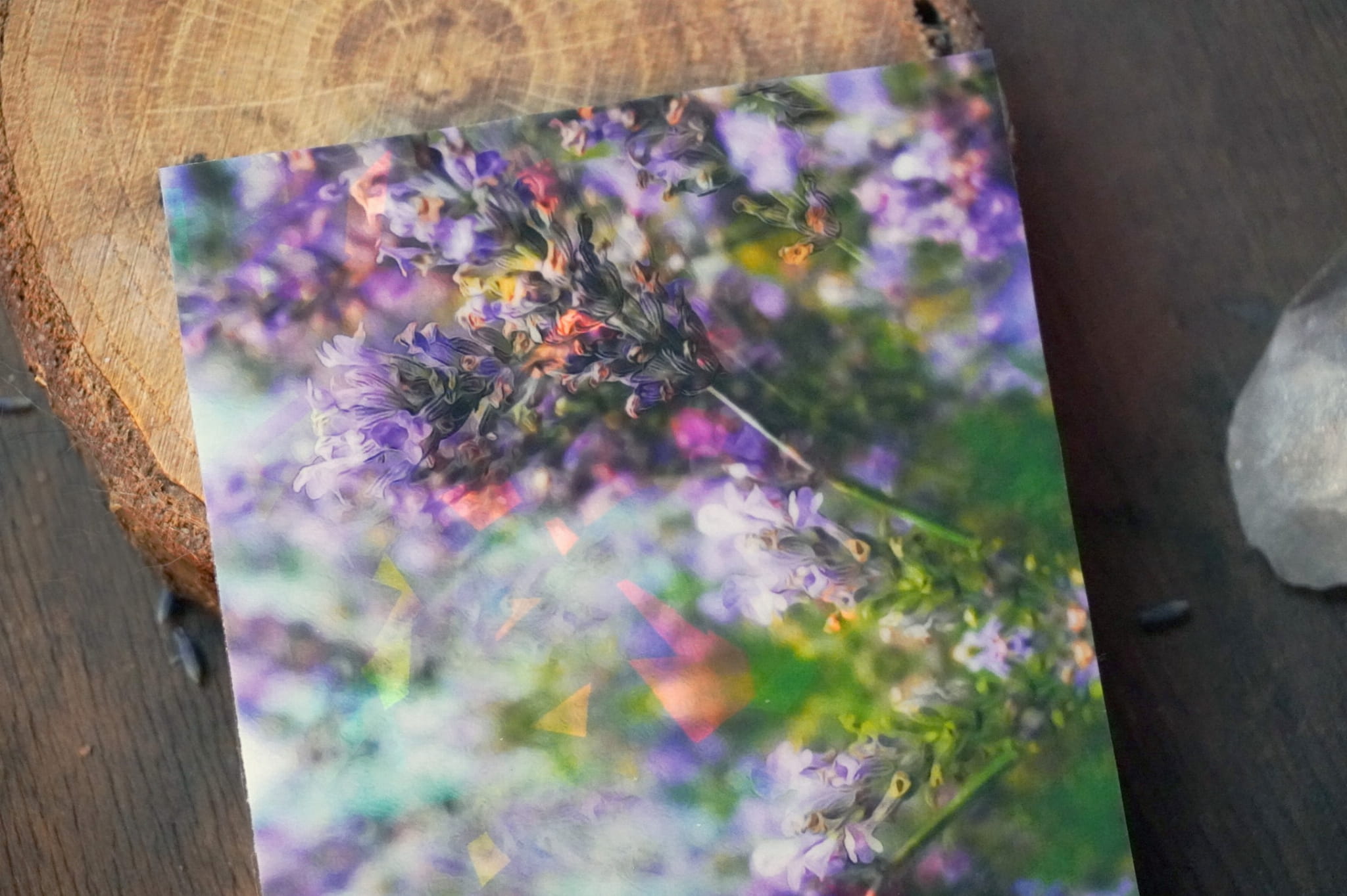 jpeg-optimizer_DSC01562