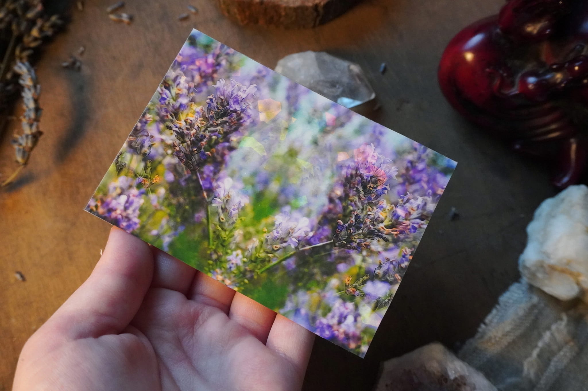 jpeg-optimizer_DSC01559