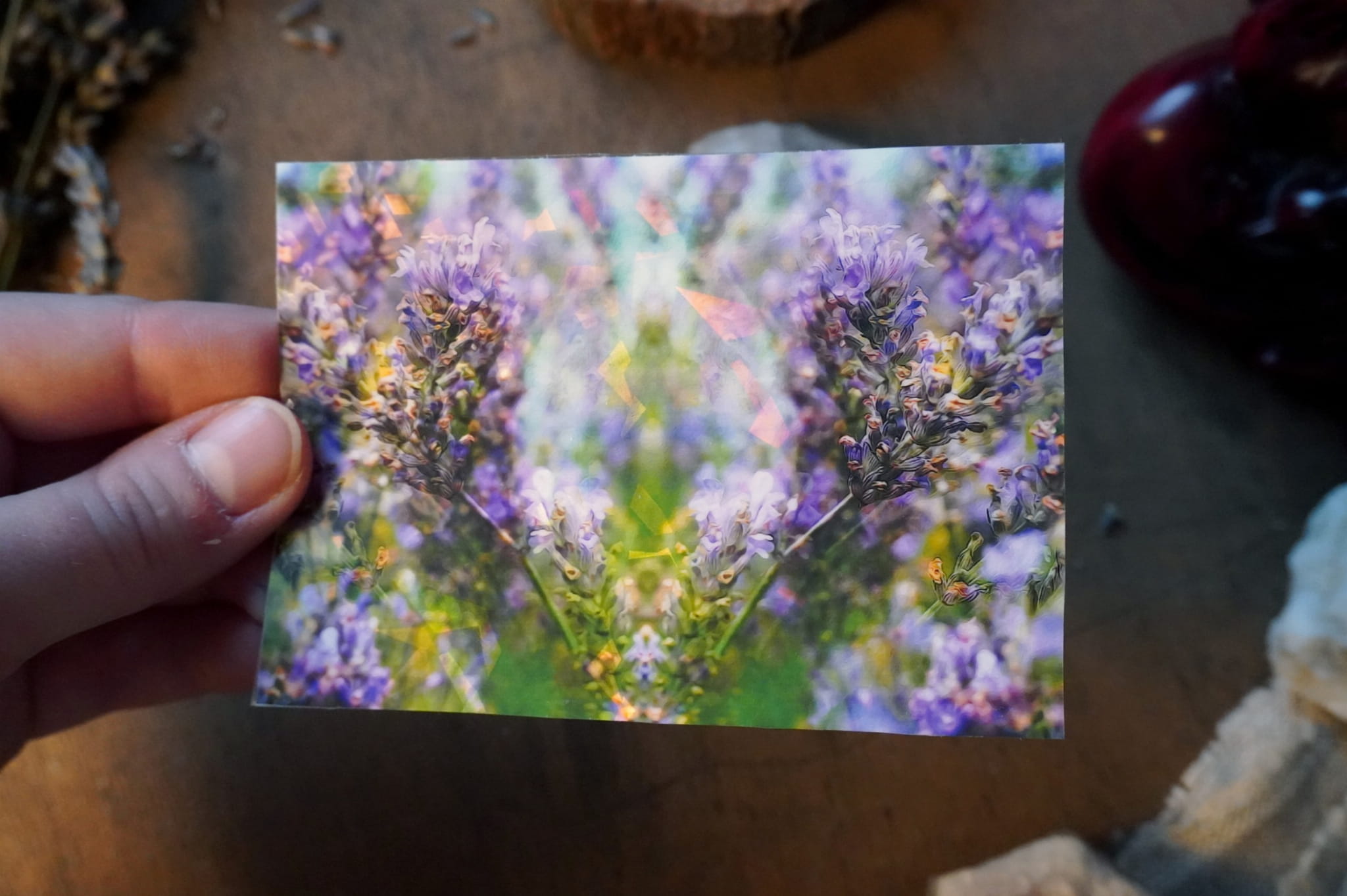 jpeg-optimizer_DSC01558