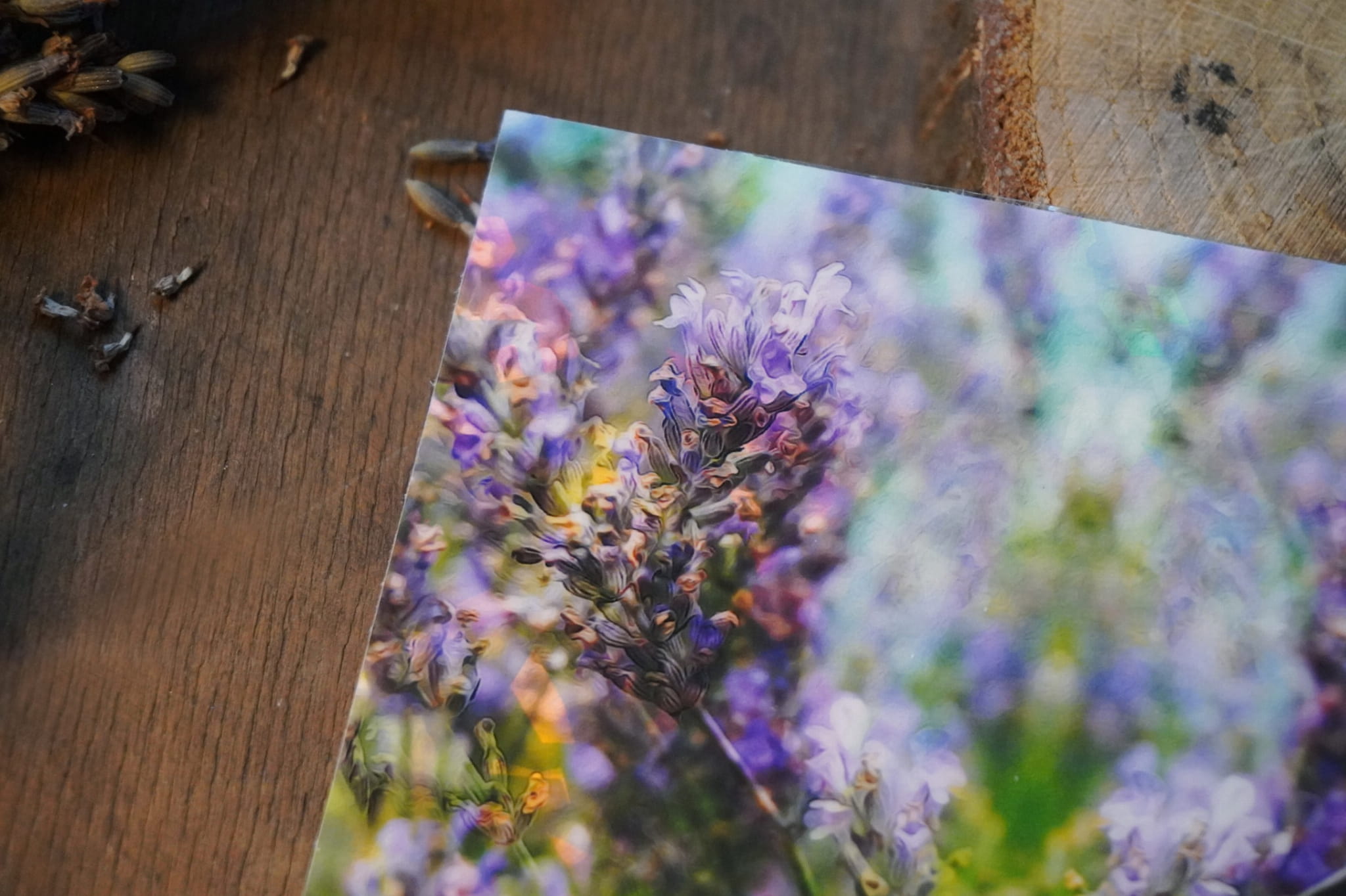 jpeg-optimizer_DSC01556